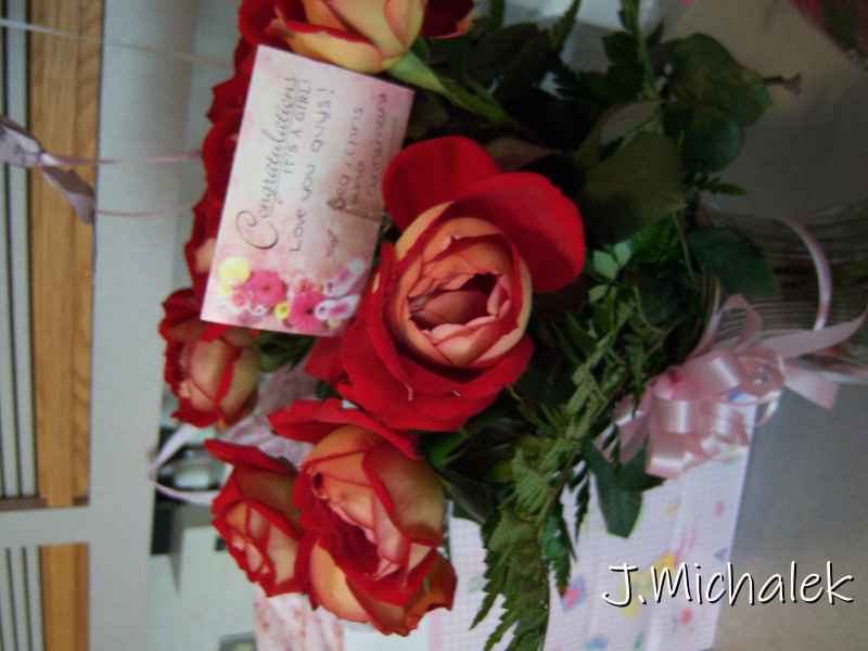100_0178.JPG