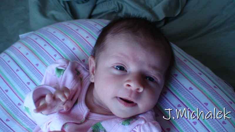 DSC00080.JPG