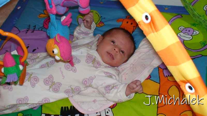 DSC00086.JPG