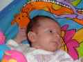 DSC00098
