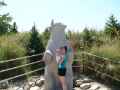 DSC00331