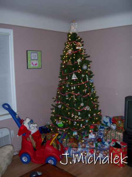 100_1347.JPG