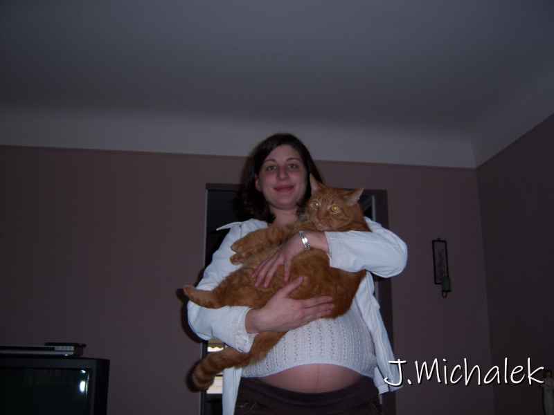 100_0006.jpg