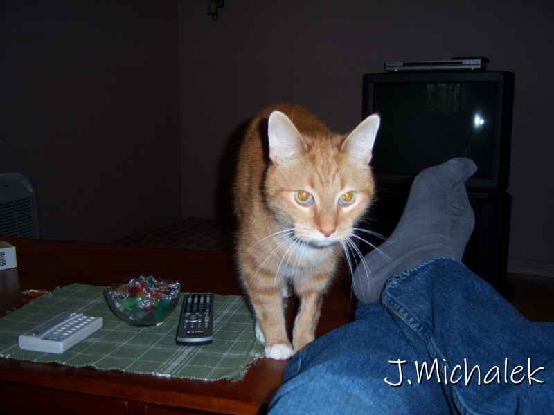 100_0010.jpg