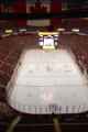2007_0211_RedWingsGame