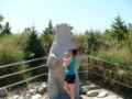 2007_0901_DetroitZoo
