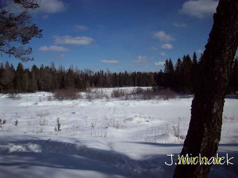 100_0100.JPG