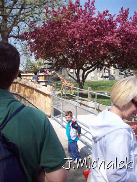 100_0326.JPG