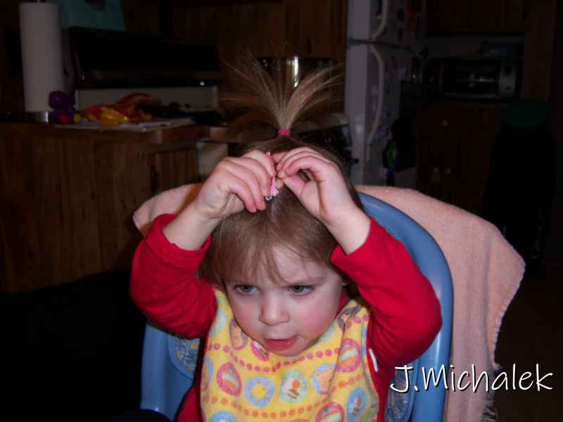 100_2313.JPG