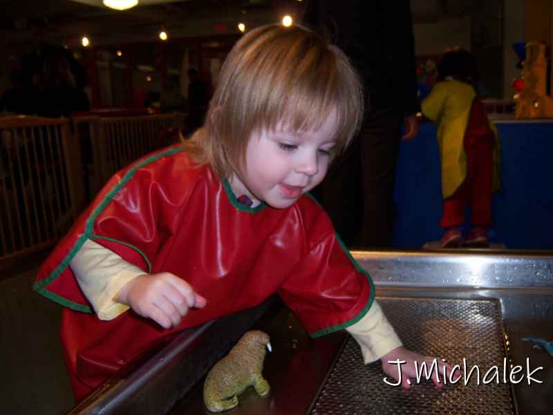 100_2372.JPG