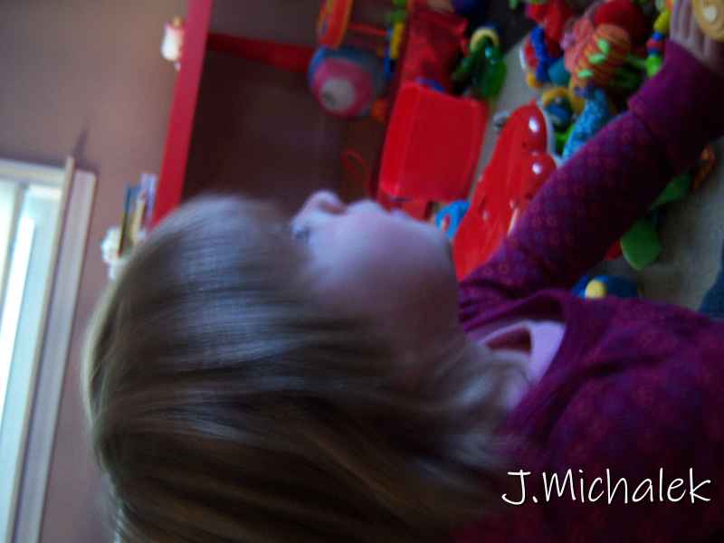 100_2398.JPG