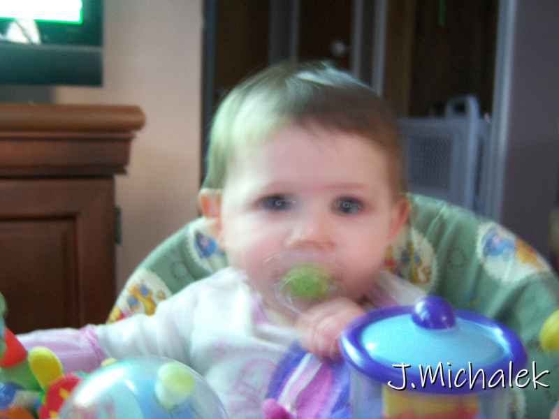 100_2399.JPG
