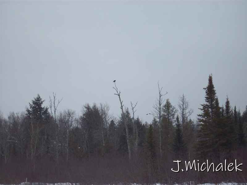 100_0866.JPG