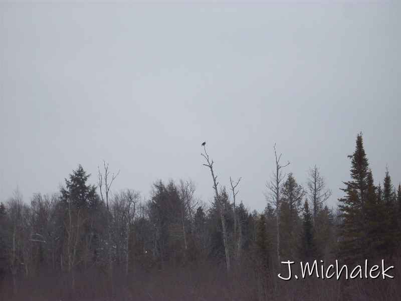 100_0867.JPG