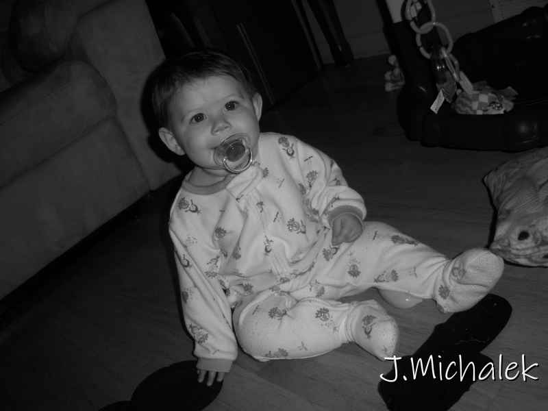 100_2432.JPG