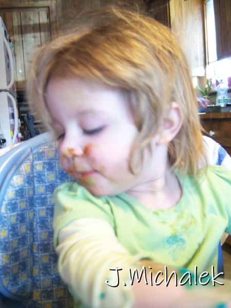 100_2455.JPG