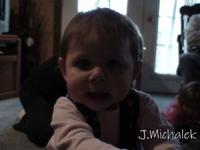 DSC00774.JPG