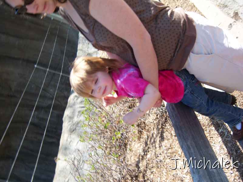 100_2651.JPG