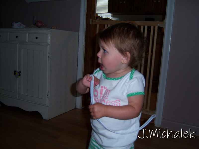 100_2863.JPG
