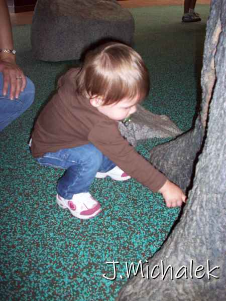 100_1071.JPG