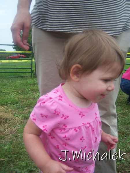 100_2979.JPG