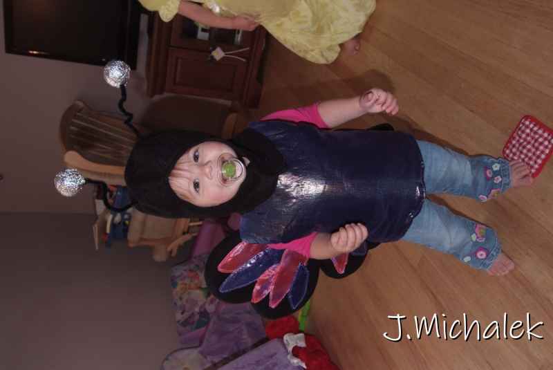 DSCF0108.JPG