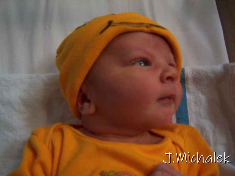 100_3215.JPG
