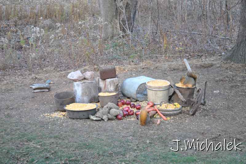 DSC_0543.JPG