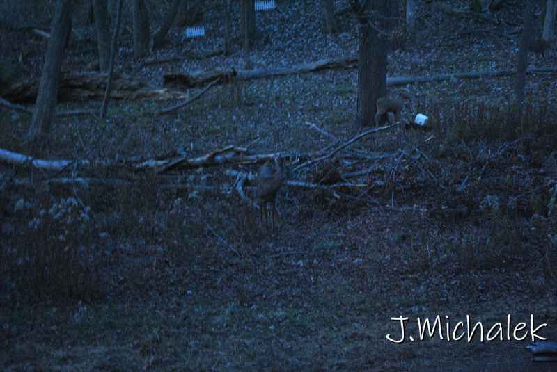 DSC_0563.JPG