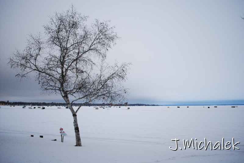 DSC_1325.JPG