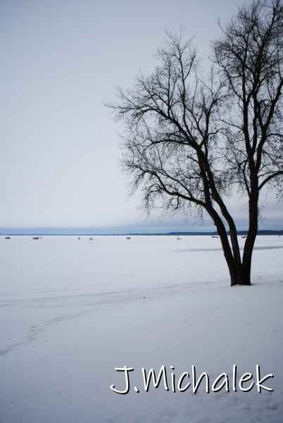 DSC_1334.JPG