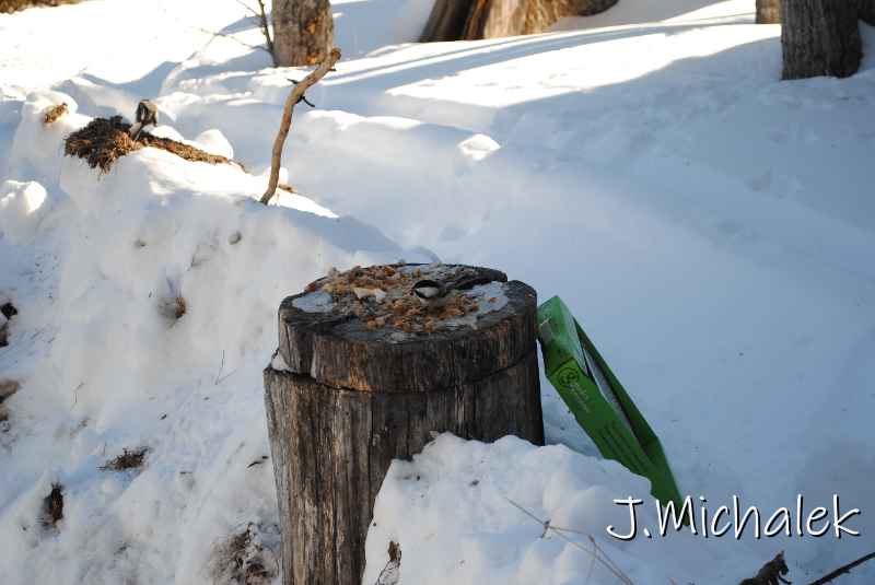 DSC_2157.jpg