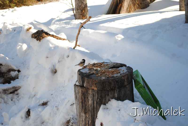 DSC_2166.jpg