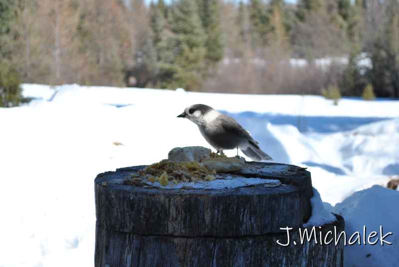 DSC_2258.jpg