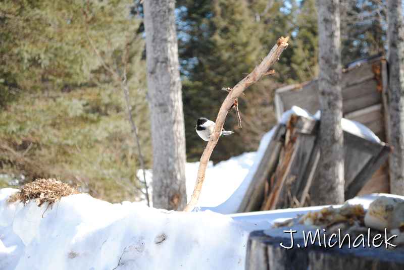 DSC_2283.jpg