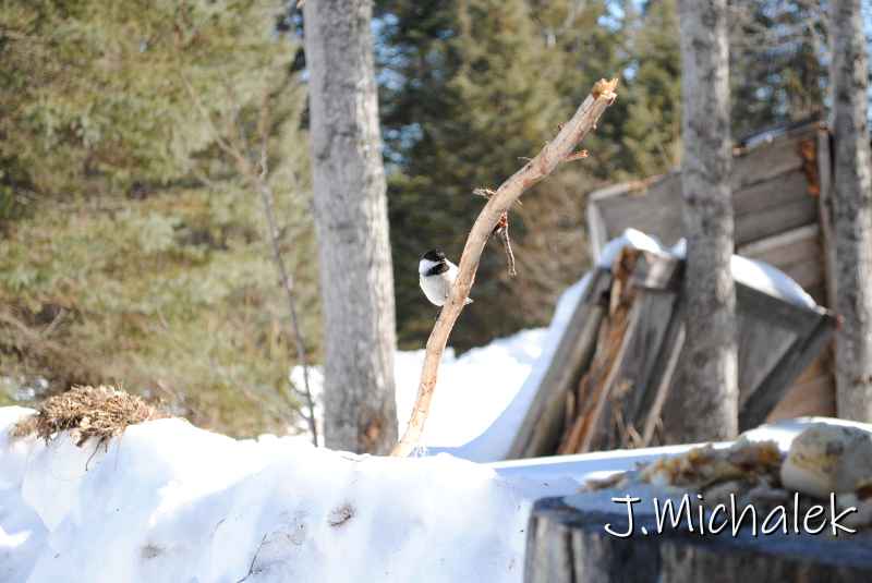 DSC_2284.jpg