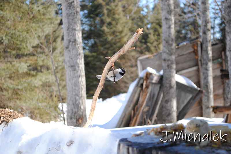 DSC_2285.jpg