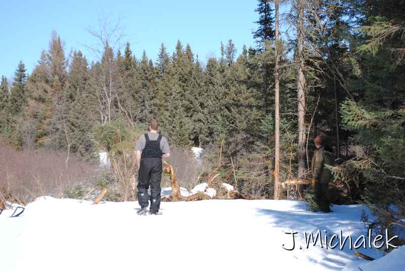 DSC_2307.jpg