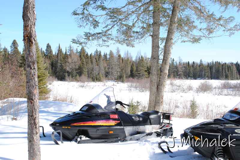 DSC_2319.jpg