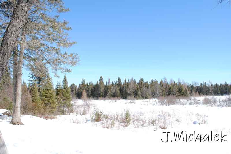 DSC_2324.jpg