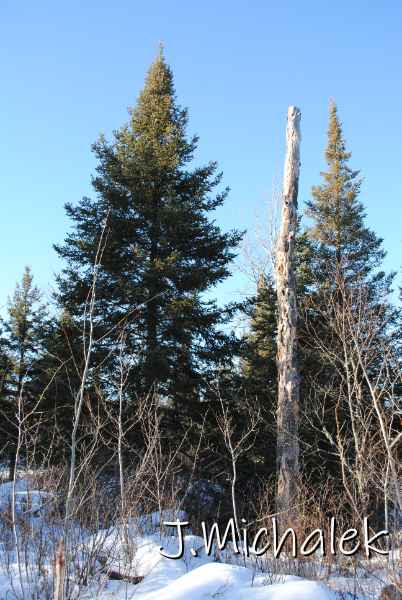 DSC_2360.jpg