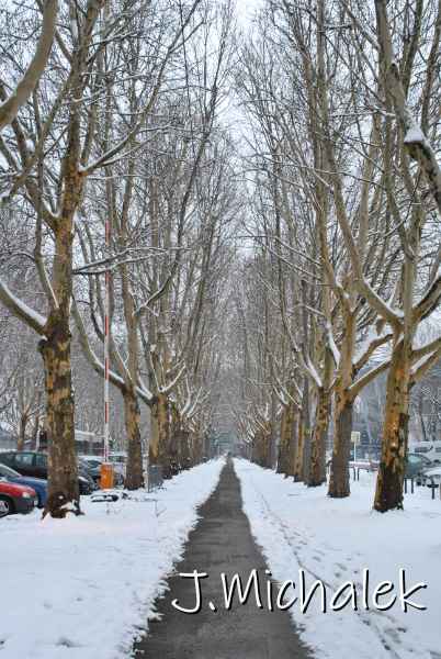 DSC_2499.jpg