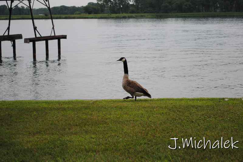 DSC_5264.JPG