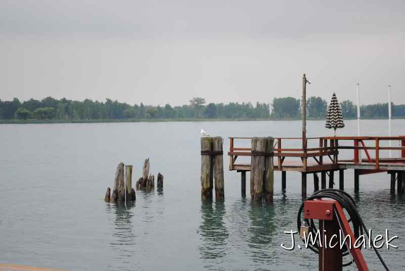 DSC_5269.JPG