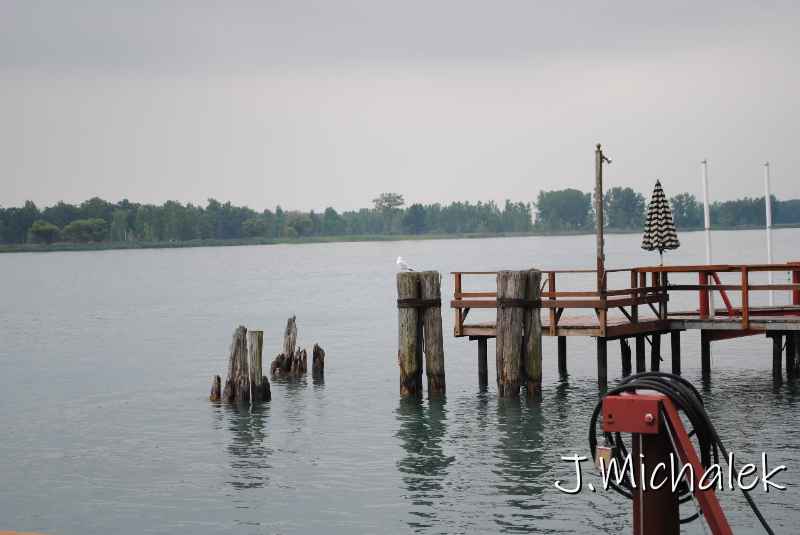 DSC_5272.JPG