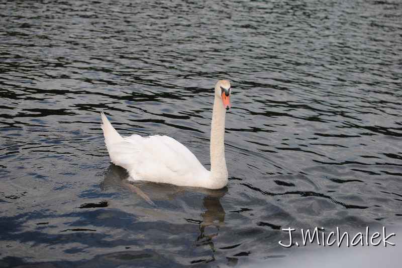 DSC_5657.JPG