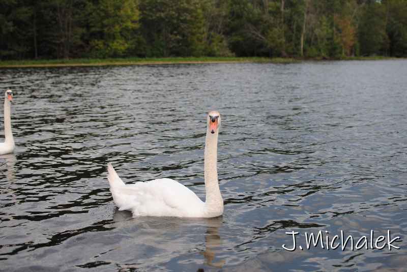 DSC_5665.JPG