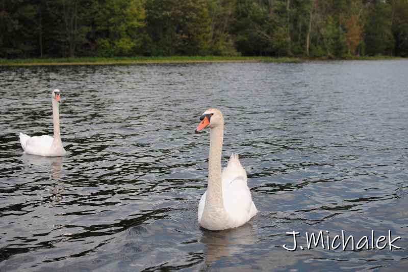 DSC_5667.JPG