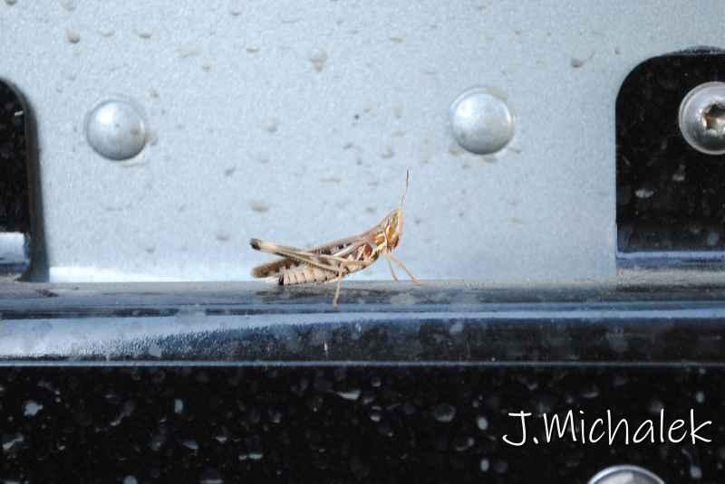DSC_5831.JPG