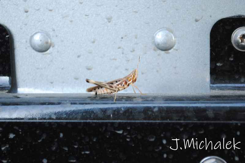 DSC_5832.JPG